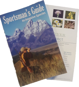 Sport Guide pdf